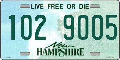 NH license plate 1029005