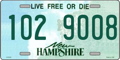 NH license plate 1029008