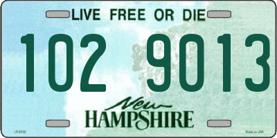 NH license plate 1029013