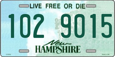 NH license plate 1029015