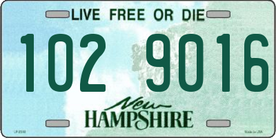 NH license plate 1029016