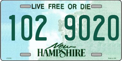 NH license plate 1029020