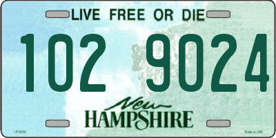 NH license plate 1029024