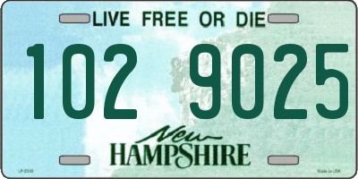 NH license plate 1029025