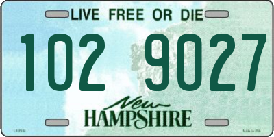 NH license plate 1029027