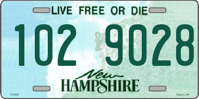 NH license plate 1029028
