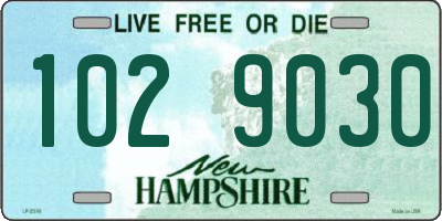 NH license plate 1029030