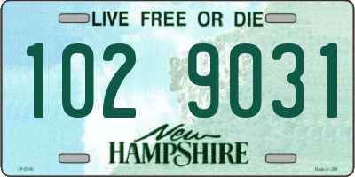NH license plate 1029031