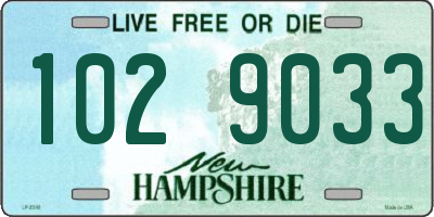 NH license plate 1029033