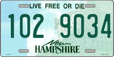 NH license plate 1029034