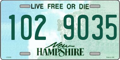 NH license plate 1029035
