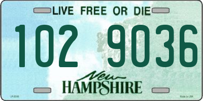 NH license plate 1029036