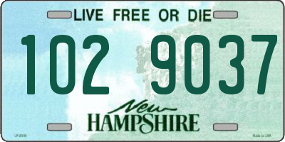 NH license plate 1029037