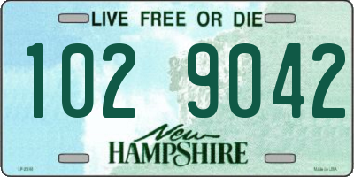 NH license plate 1029042
