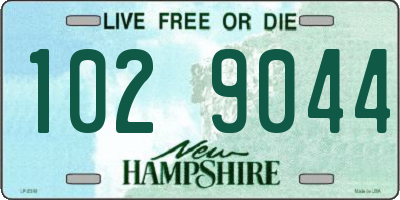 NH license plate 1029044