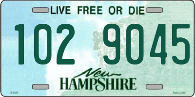 NH license plate 1029045