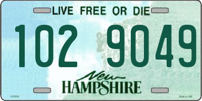 NH license plate 1029049