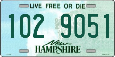 NH license plate 1029051