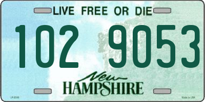 NH license plate 1029053