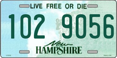 NH license plate 1029056