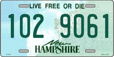NH license plate 1029061