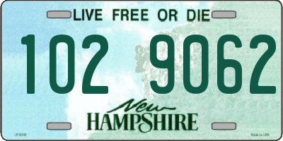 NH license plate 1029062