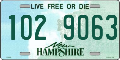 NH license plate 1029063