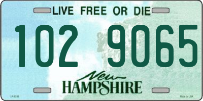 NH license plate 1029065