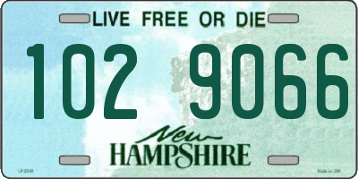 NH license plate 1029066