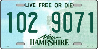 NH license plate 1029071