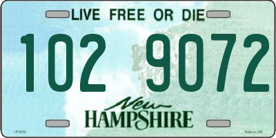 NH license plate 1029072