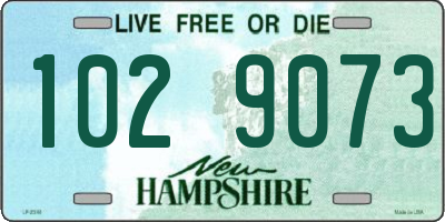 NH license plate 1029073