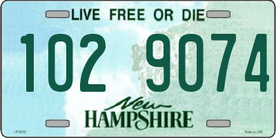 NH license plate 1029074