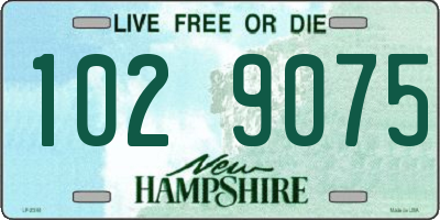 NH license plate 1029075