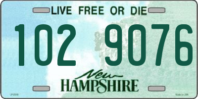 NH license plate 1029076