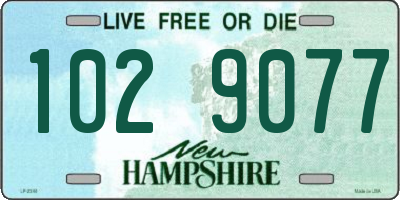 NH license plate 1029077