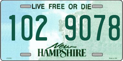 NH license plate 1029078