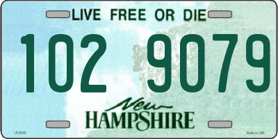 NH license plate 1029079