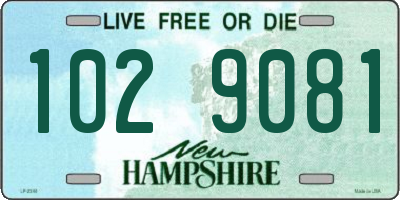 NH license plate 1029081