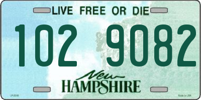 NH license plate 1029082
