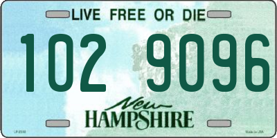 NH license plate 1029096