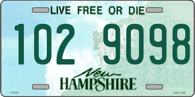NH license plate 1029098