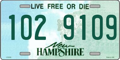 NH license plate 1029109