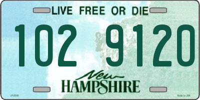 NH license plate 1029120