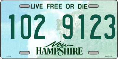 NH license plate 1029123