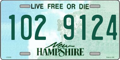 NH license plate 1029124