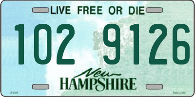 NH license plate 1029126