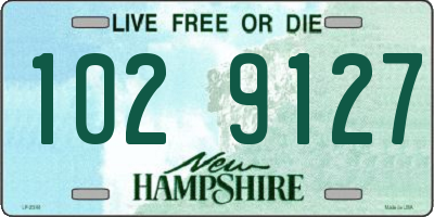 NH license plate 1029127