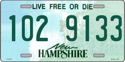 NH license plate 1029133