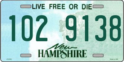 NH license plate 1029138